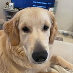 Charleston Smith - @charleston.the.great - Instagram
