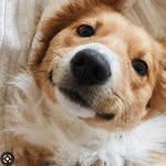 Charlet - @charlet_smith1188 - Instagram