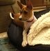 Charletta Jones - Facebook