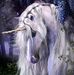 Charlette Jones - Facebook