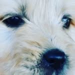 @charlette_parkson_ - Instagram