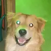 Charley Allen - @charchar1147 - TikTok