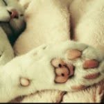 Charley Allen - @charleym1973 - Instagram