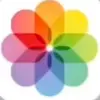 charley.bee - @charley.bee - TikTok