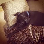 charley - @charley_burns - Instagram