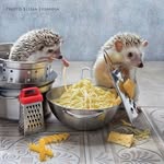 Charley Burns - @pomegranatezest - Instagram