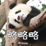 Charley Chen - @charleychen4 - Instagram