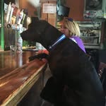 Charley Henry - @pupsatbars - Instagram