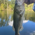 Charley Henry - @ch_fishing - Instagram