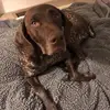 Charley Hicks - @bootsieiscute - TikTok