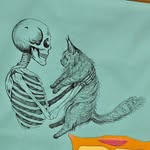Charley Howard - @catsbookscello - Instagram
