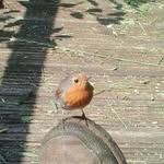 Charlie Patterson - @charlie.patterson.39142 - Instagram