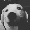 charley.pearson - @charley.pearson - TikTok