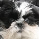 Charley - @charleyricecake - Instagram