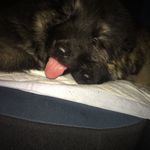 Charley & Riley - @charley_and_riley - Instagram