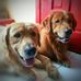 Charley &amp; Riley Ilagan - Facebook