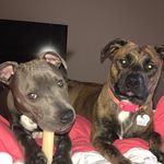 Charley N Riley - @charleynriley - Instagram