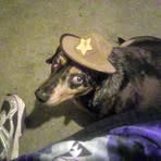 Charley Rowe - Facebook