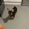 Charley ❤️ - @charley.simpsonxx - TikTok