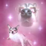 Charlie Summers - @kansasity__ - Instagram