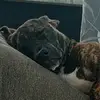 Charlie Townsend - @charlie.townsend0 - TikTok