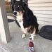 Charley Wallace - Facebook