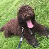 Charley West - @charley.west - TikTok