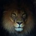 Charley Williamson - Facebook
