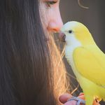 @charlie.and.bean - Instagram