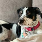 Charlie - @charlie_bean__ - Instagram
