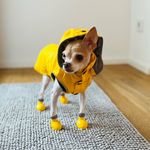 Charlie - @charliebeantravels - Instagram
