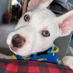 Charlie bean - @charlie_bean_21 - Instagram
