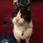 Charlie Bean - @charlie_bean_83 - Instagram