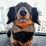 Charlie Bean - @_charliebean_ - Instagram
