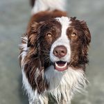 Charlie Bean - @charlie.beans.adventures - Instagram