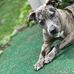 Charlie Bean - Facebook