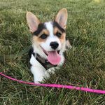 Charlie Bean - @charliethebean - Instagram