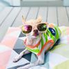 Charlie Bean - @charliebeantravels - TikTok