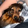 Charlie Bean - @charliebean1023 - TikTok