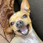 Charlie Bean - @charliebean225 - Instagram