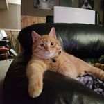 Charlie Bean Romanchuk - @charlie_beanz_and_oliver - Instagram