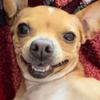 CharlieBean225 - @charliebean225 - TikTok