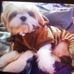 Charlie Bear - Facebook