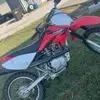 Charlie Bear - @charlie.bear778 - TikTok