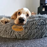 Charlie Bear - @charlietango0810 - Instagram