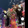 charliebear - @charliebear5837 - TikTok