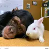 charliebear - @charlie_bear4981 - TikTok