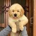 Charles Becker - Facebook
