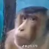 Charlie - @charliebecker10 - TikTok
