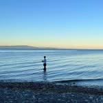 Charlie_bower - @charlie_bower42 - Instagram